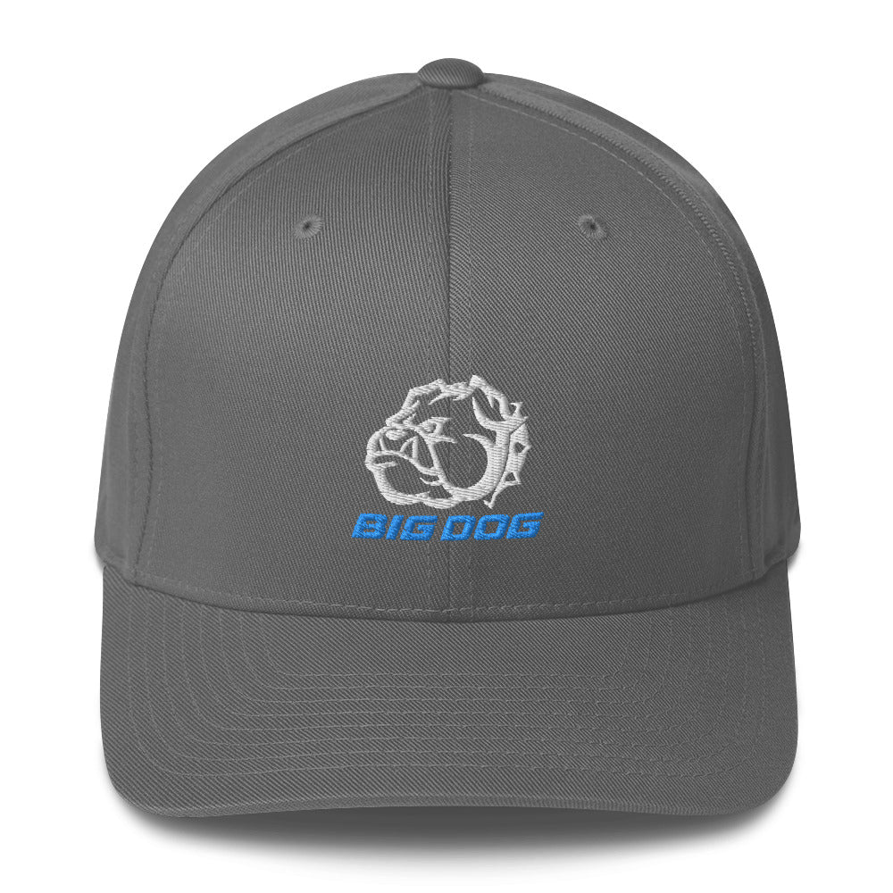 Big Dog-Structured Twill Cap