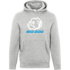 Big Dog-LS14001 Lane Seven Unisex Premium Hoodie